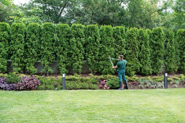  Cleona, PA Tree Care Services Pros